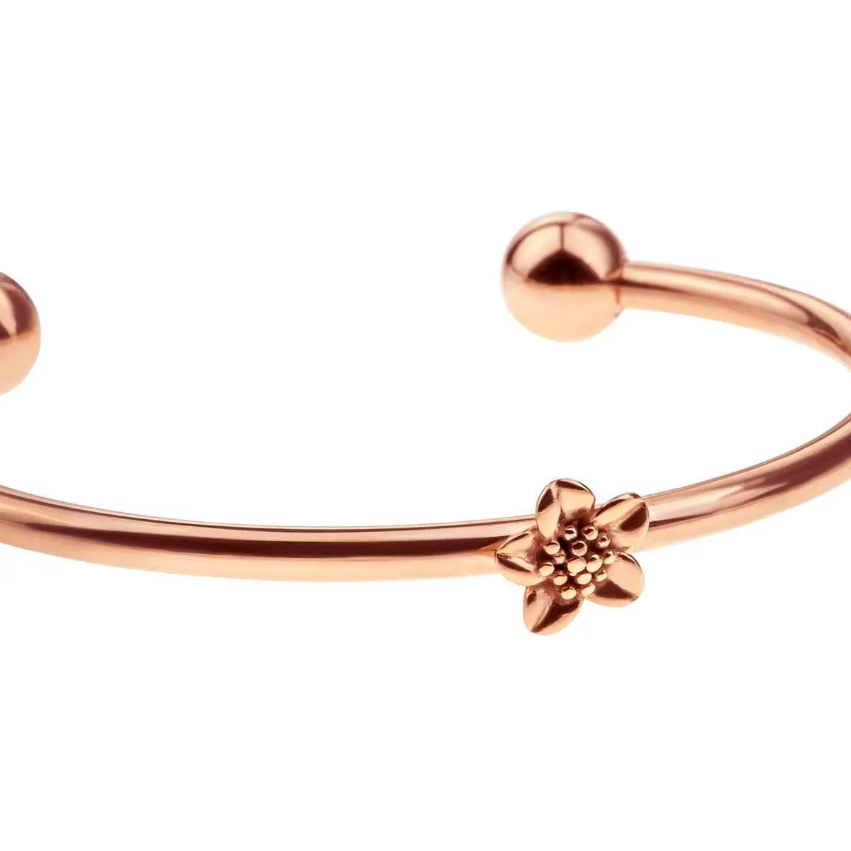 swissboutique paulmcneal PS110 4 swissboutique-paulmcneal-PS110-4