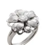 Сребърен пръстен Passavinti AN1030