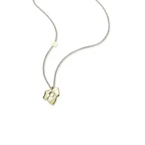 SwissBoutique Passavinti cl2140a 1 SwissBoutique-Passavinti cl2140a-1
