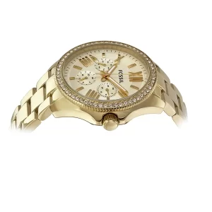 SwissBoutique-часовник-Fossil-AM4482-1