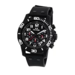 SwissBoutique-часовник-twsteel-CA1-1