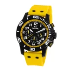 SwissBoutique-часовник-twsteel-CA3-1