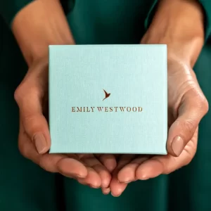 SwissBoutique часовник EmilyWestwood EGF 4218RQ box SwissBoutique-часовник-EmilyWestwood-EGF-4218RQ-box